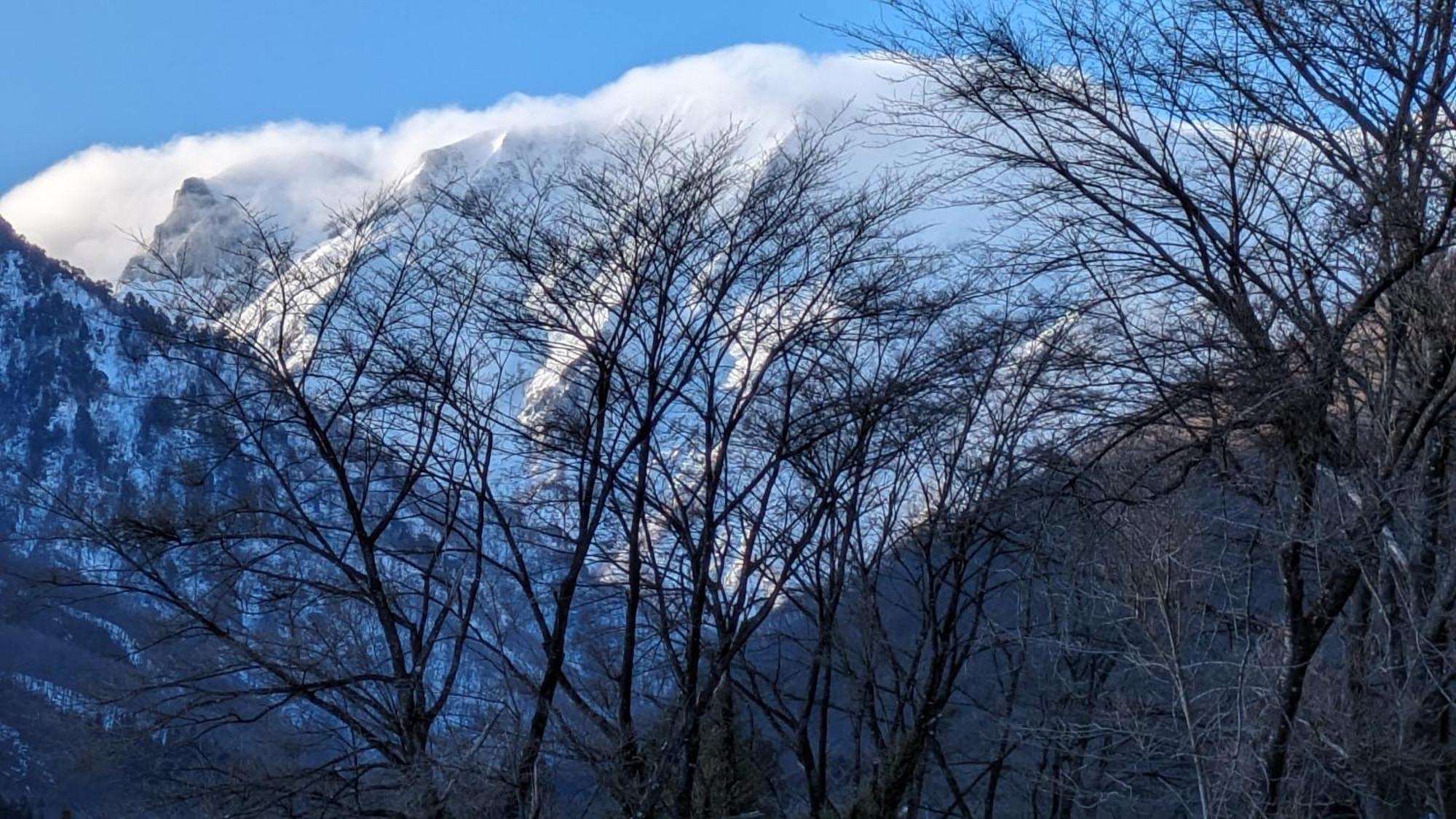 Tanigawa Valley & Coffee Roastery *